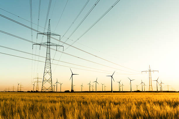  AIPEF bags govt order to link 33 kV substations to power grid 