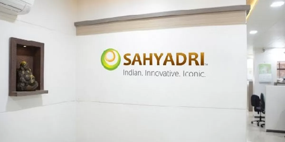 Sahyadri Industries PAT Falls, Declares FY25 Dividend