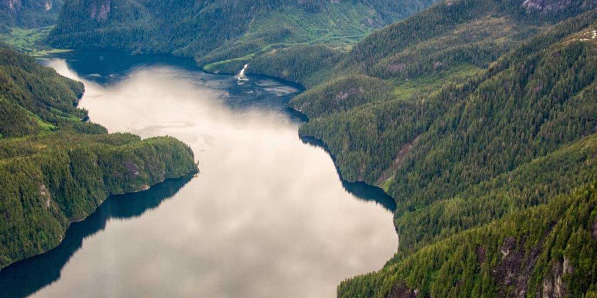 Here's how Canadian Wood celebrates Wood on the World Wood Day