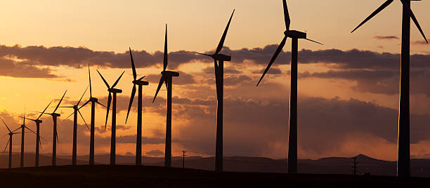 US recorded 16.8 GW wind power capacity in 2020