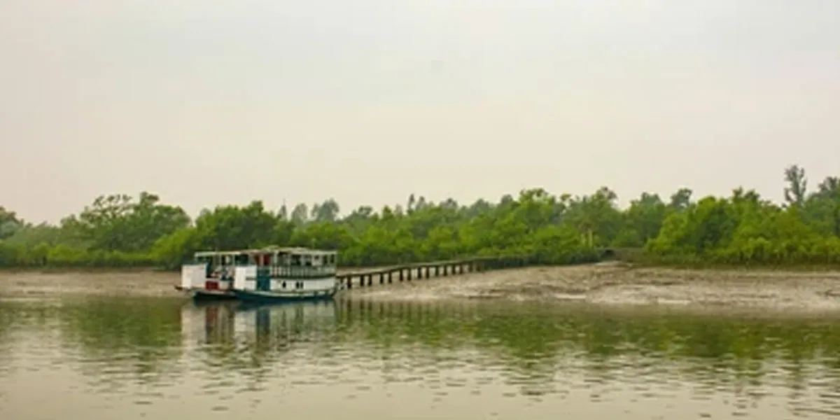 West Bengal Clears Emergency Repairs For Two Sundarbans Bridges