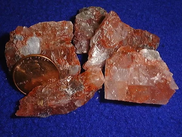 Response to Discrimination Allegations in Punjab Potash Exploration
