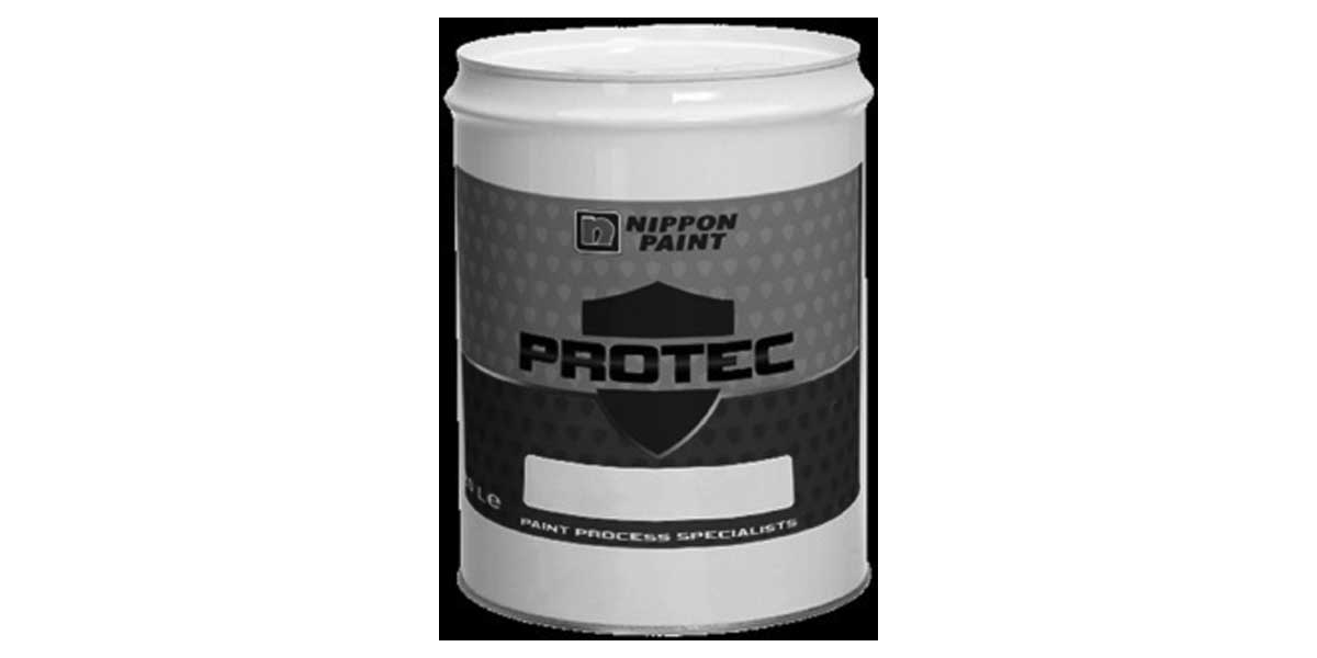 Paint Protection