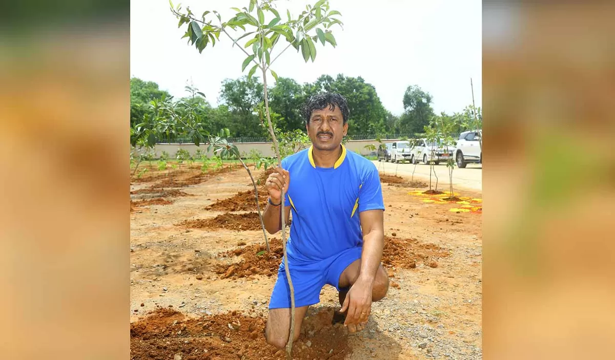 SCCL Chief Plants 204 Saplings, Total Nears 20,000