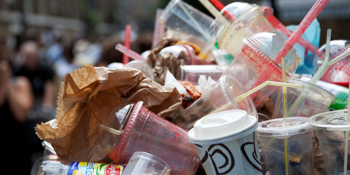 Single-use plastic ban drives demand for wood, bamboo