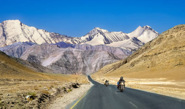 Wildlife board nods alternate alignment to Daulat Beg Oldi Road
