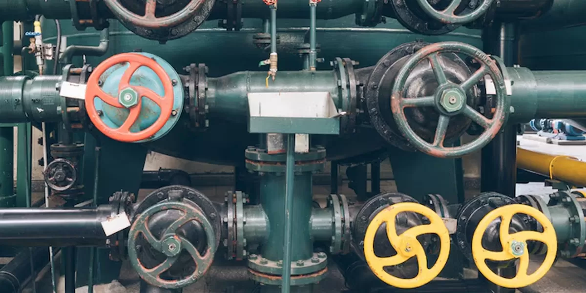 Gas Project Adds 13,480 PNG Connections in City