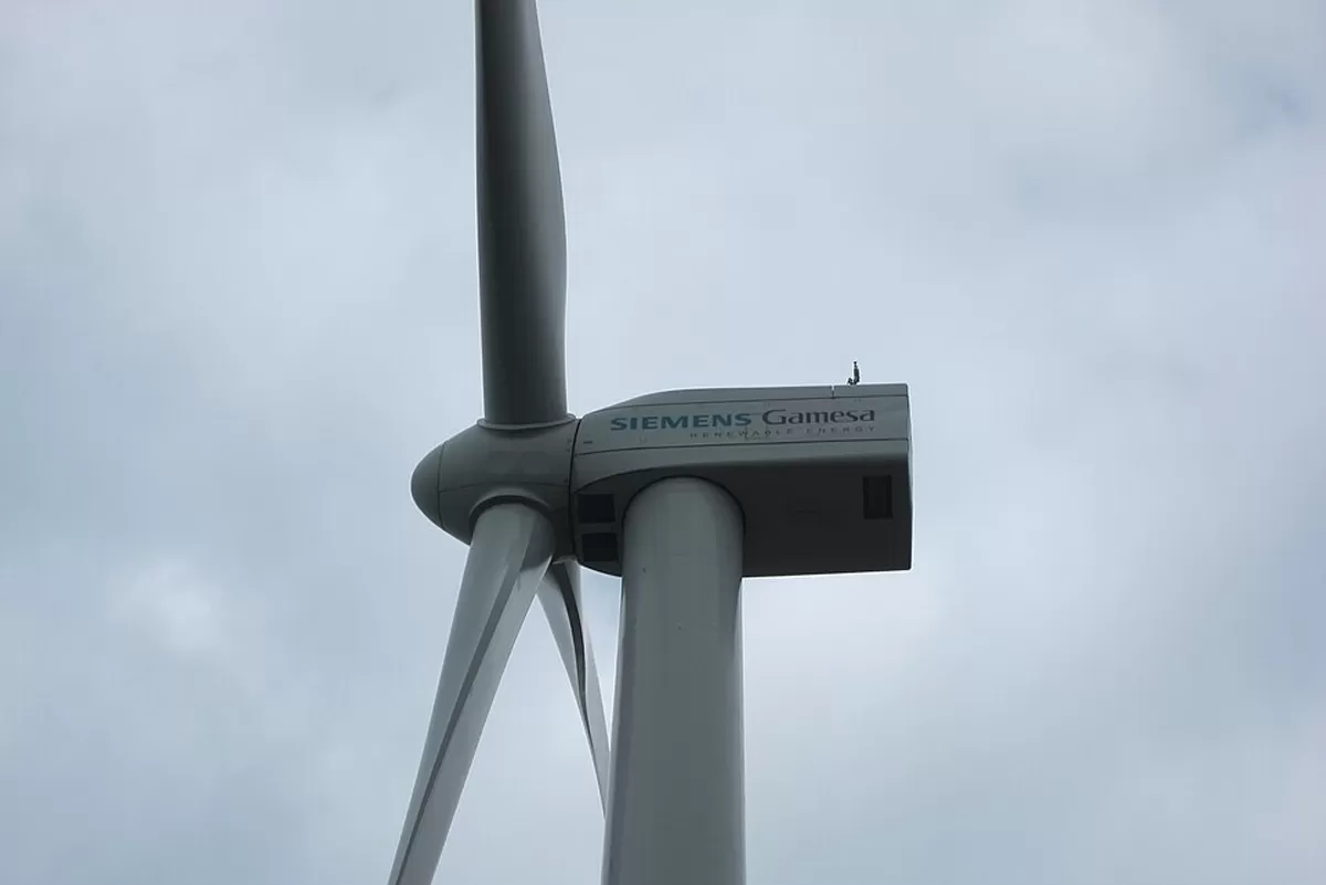 TPG, Mavco to Acquire Siemens Gamesa’s India Wind Business