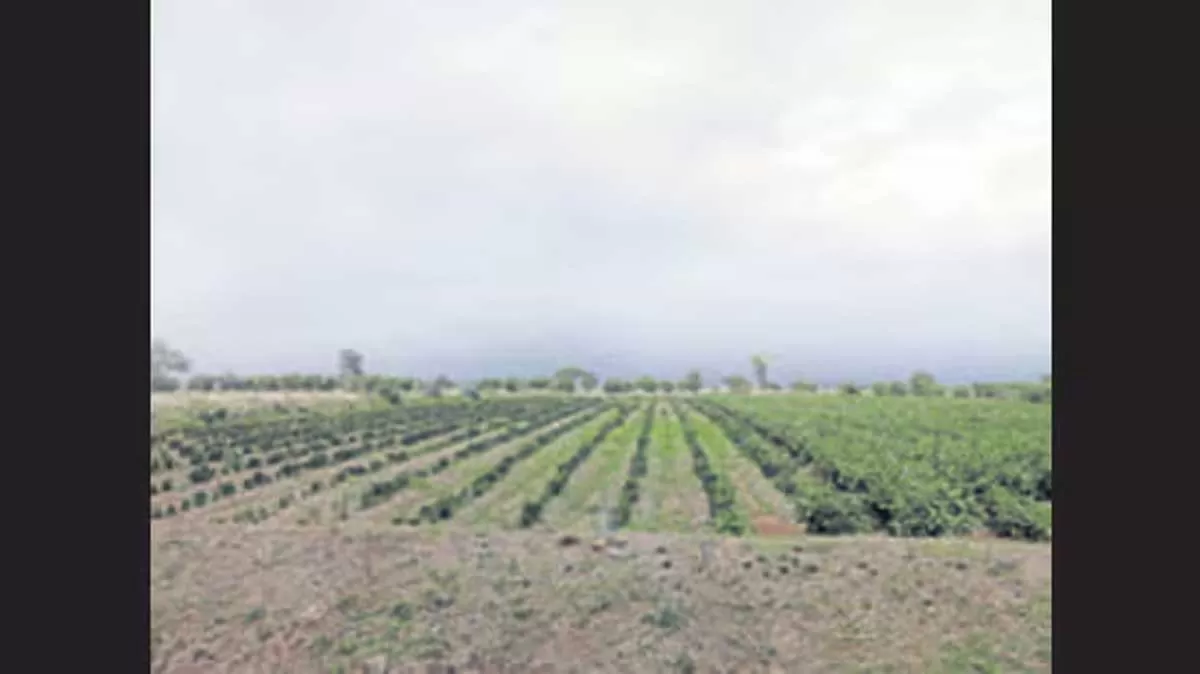 Purandar Airport: Farmers Offered Plots for Land Surrender