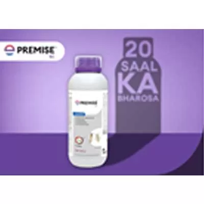 Trusted Termite Solutions