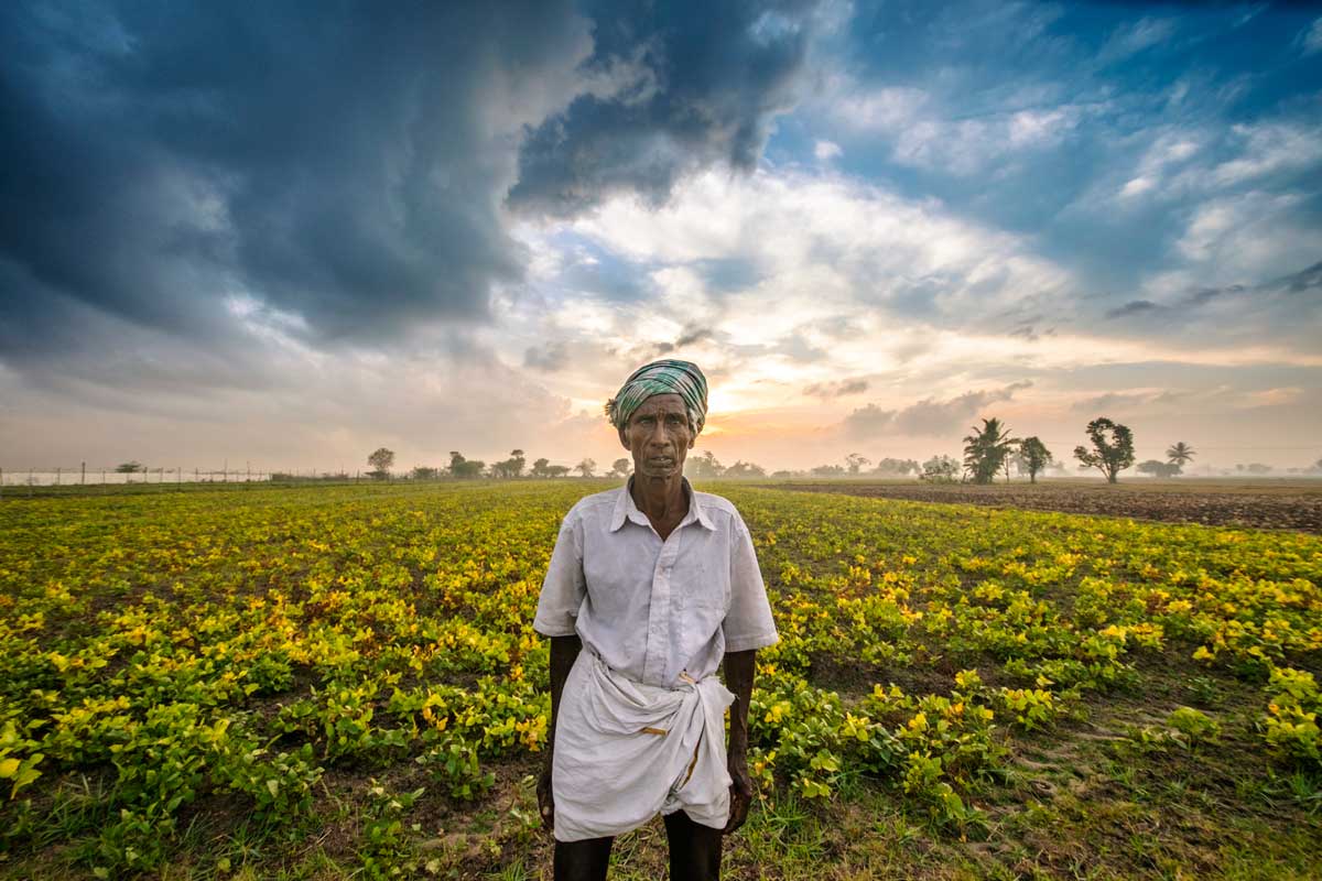 State Raises Farmer Compensation Amid Infrastructure Push