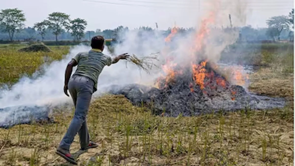 Vedanta-Backed Biomass Plant Cuts Farm Fires Sharply In Punjab
