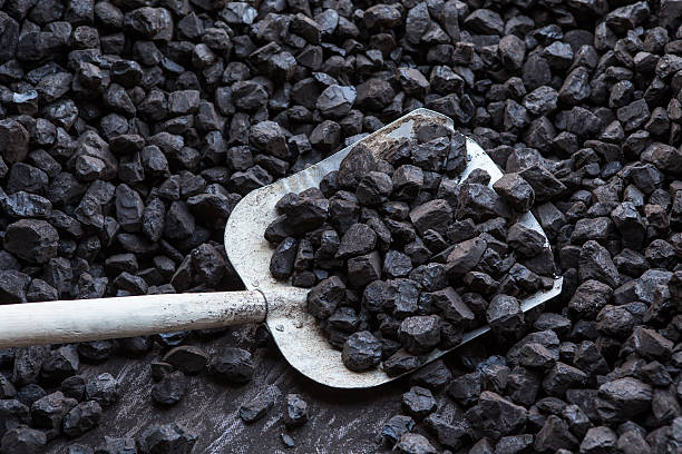 SIS bags Rs 225 cr project to provide security solutions to CIL arm