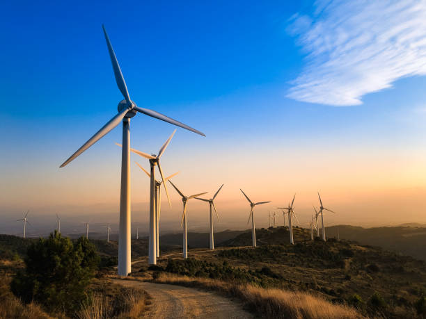 Envision Energy bags 2,000 MW wind contract in India