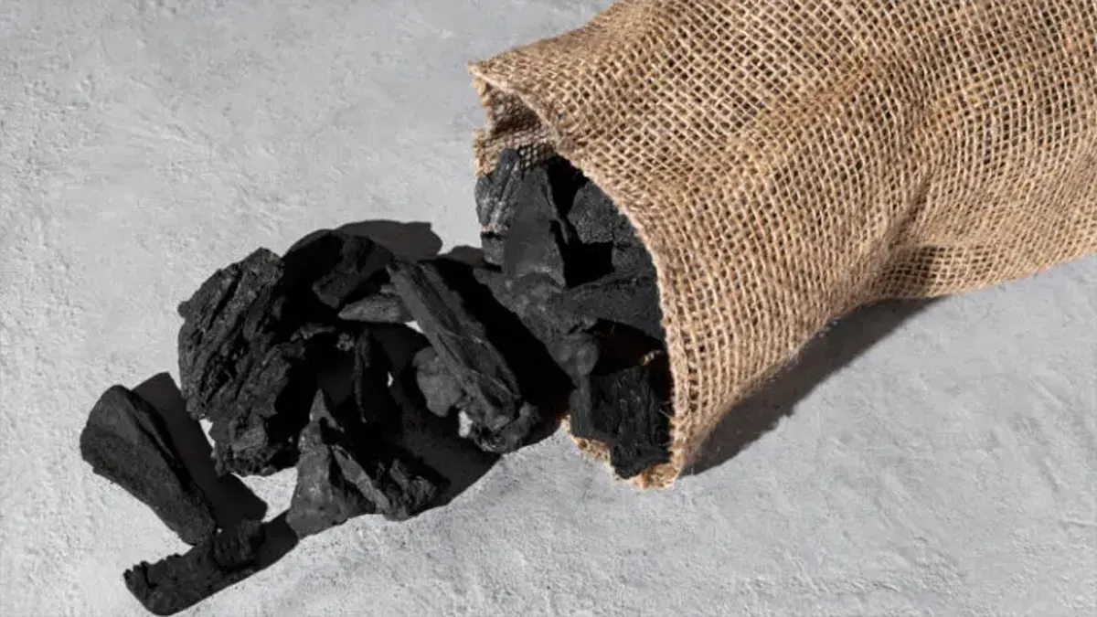 NTPC Clears Rs 105 Billion Coal Biz Transfer to Subsidiary