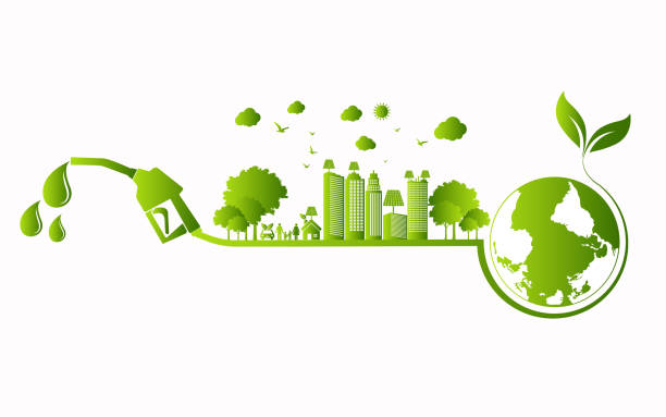 Biomass Briquettes: Goa’s project to turn agri waste into green fuel