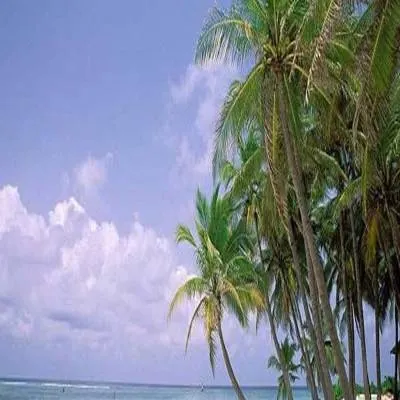 Centre Clears Multi-Island Port Upgrade for Lakshadweep