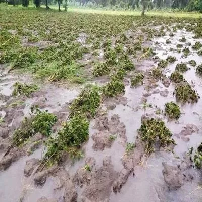 Gujarat MSMEs Seek Rs 3.36 Bn Relief After Heavy Rain Losses