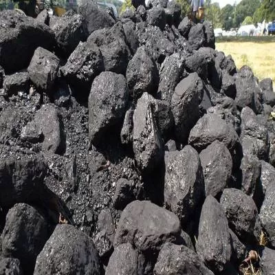 India Strengthens Energy Security with Domestic Coal Reserves