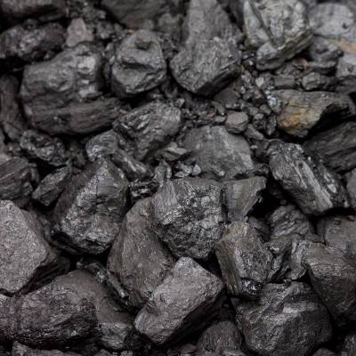 CIL cancels maiden tender