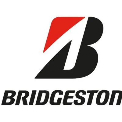 Bridgestone India Honours Idol Maker Rajan Patkar