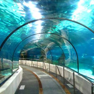 ICT to Prepare DPR for Assam's First Underwater Tunnel