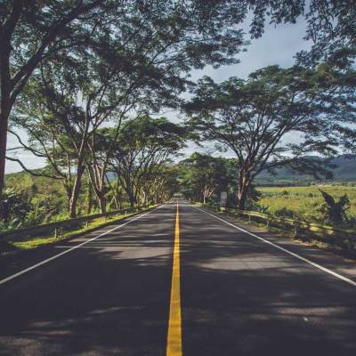 1,200 additional trees to be chopped for rail projects in Bengaluru