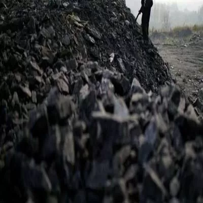 BCGCL conducts a pre-bid meet for coal gasification project