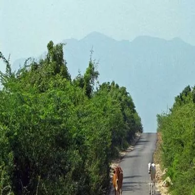 Rs 1.40 Billion Initiative for Katraj-Kondhwa Road Land Acquisition
