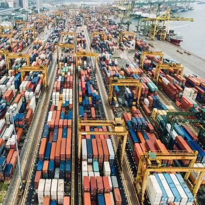 Adani Gangavaram Port Breaks Record in Timber Log Handling