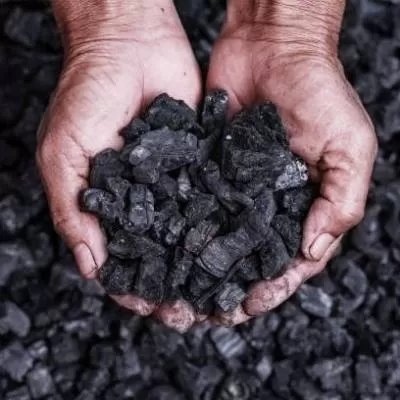 Coal ministry launches module for mine opening permissions