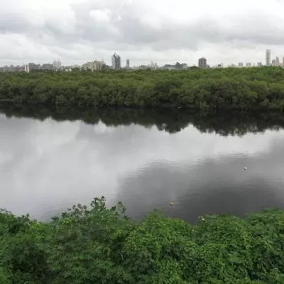 BMC Ropes in New Contractors to Speed Up Mithi River Desilting Work