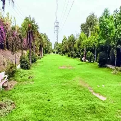 NGT Directs Ludhiana Civic Body to Remove Green Belt Area Construction