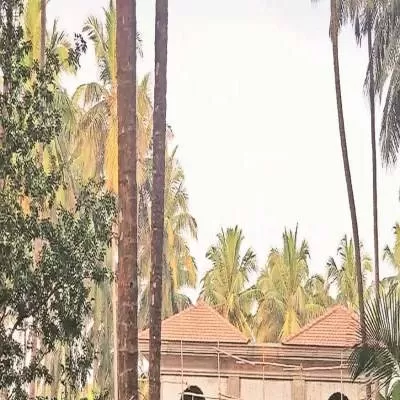 HC orders Goa govt to create SOP for illegal constructions in 2 weeks