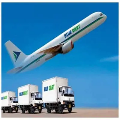 Blue Dart Q3 FY26 Profit at Rs 700 million on Steady Demand