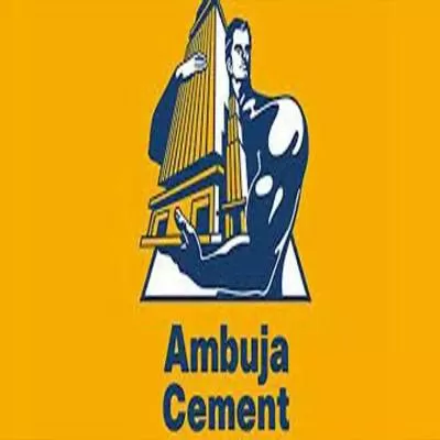 Adani-backed Amubuja wins 24 limestone mines