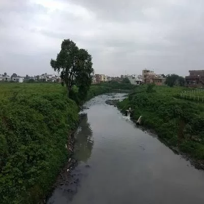 Canal Project Boosts Irrigation, Benefits 200 Families in Nagpur