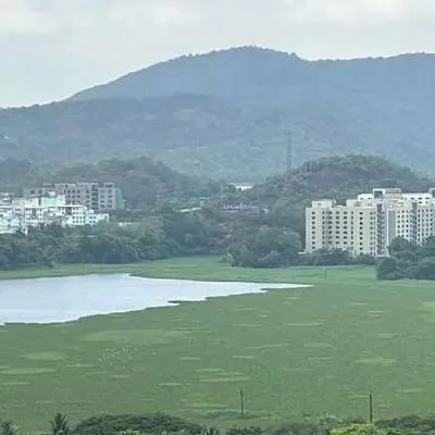 BMC Begins Rs 660-Mn Project to Revive Powai Lake Ecosystem