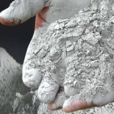 Wonder Cement expands in Gujarat