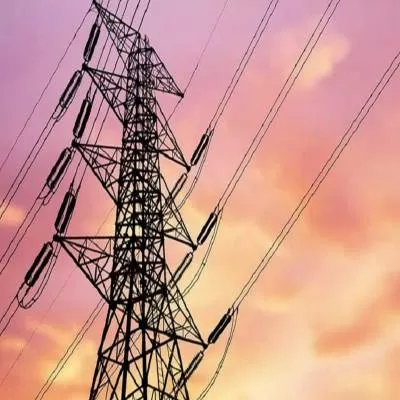 Power Transmission Licensing Exemption for Large Consumers