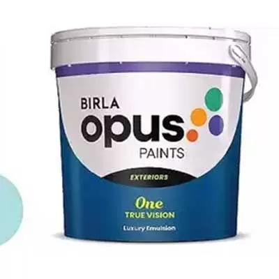 Birla Opus Focuses on Organic Growth