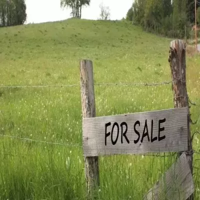 Over 700 Acres of Land Deals Closed Jan-Mar: ANAROCK
