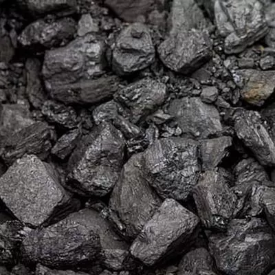 Gadkari Advocates Coal Gasification in Vidarbha Mines