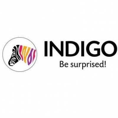 Sequoia Capital sheds 3.28% stake in Indigo Paints