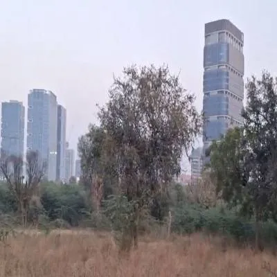 Shree Lotus, Amitabh Bachchan to Develop GIFT City Project
