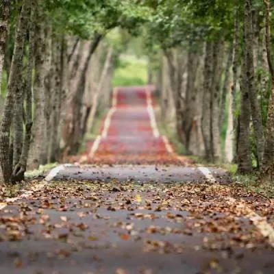 NHAI to Repair Ghat Road