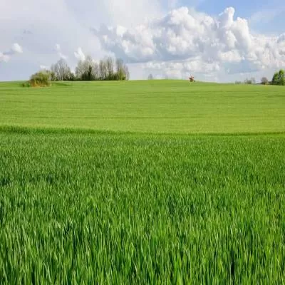 Macrotech to Invest Over Rs 80 Billion in FY26 for Land Acquisition