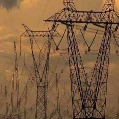 REC trading suspension has huge impacts, say traders