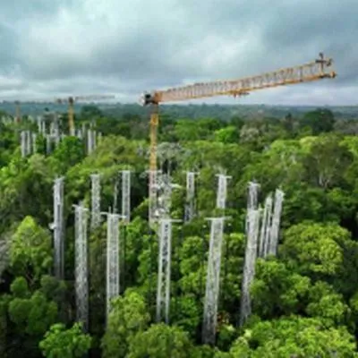 Liebherr Cranes Aid Amazon Climate Research
