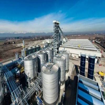 India's NRL set to pioneer bamboo-based ethanol production in Assam
